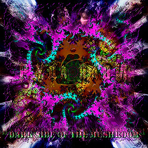 Руда Нави - Dark side of The Mushroom (2011) LP