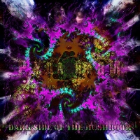 Dark side of The Mushroom (2011) LP_1